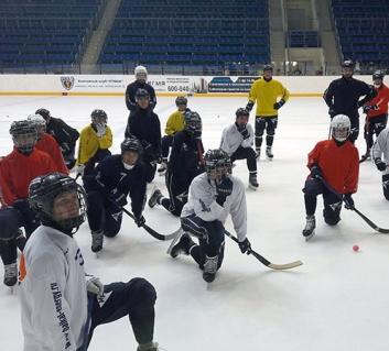 Соскучились по льду